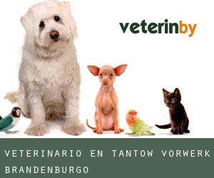 veterinario en Tantow Vorwerk (Brandenburgo)