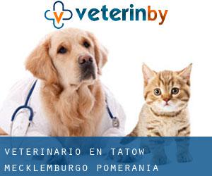 veterinario en Tatow (Mecklemburgo-Pomerania Occidental)