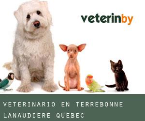 veterinario en Terrebonne (Lanaudière, Quebec)
