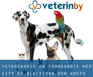 veterinario en Toongabbie West (City of Blacktown, New South Wales)