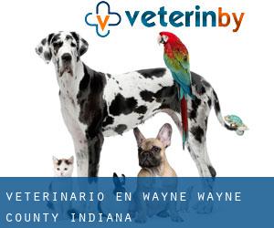 veterinario en Wayne (Wayne County, Indiana) veterinario en Wayne (Wayne County, Indiana)