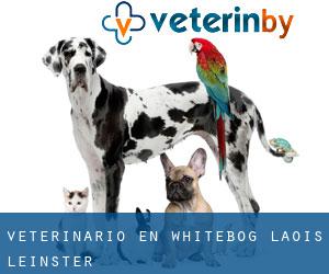 veterinario en Whitebog (Laois, Leinster)