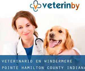 veterinario en Windermere Pointe (Hamilton County, Indiana)