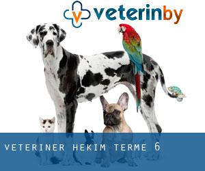 Veteriner Hekim (Terme) #6